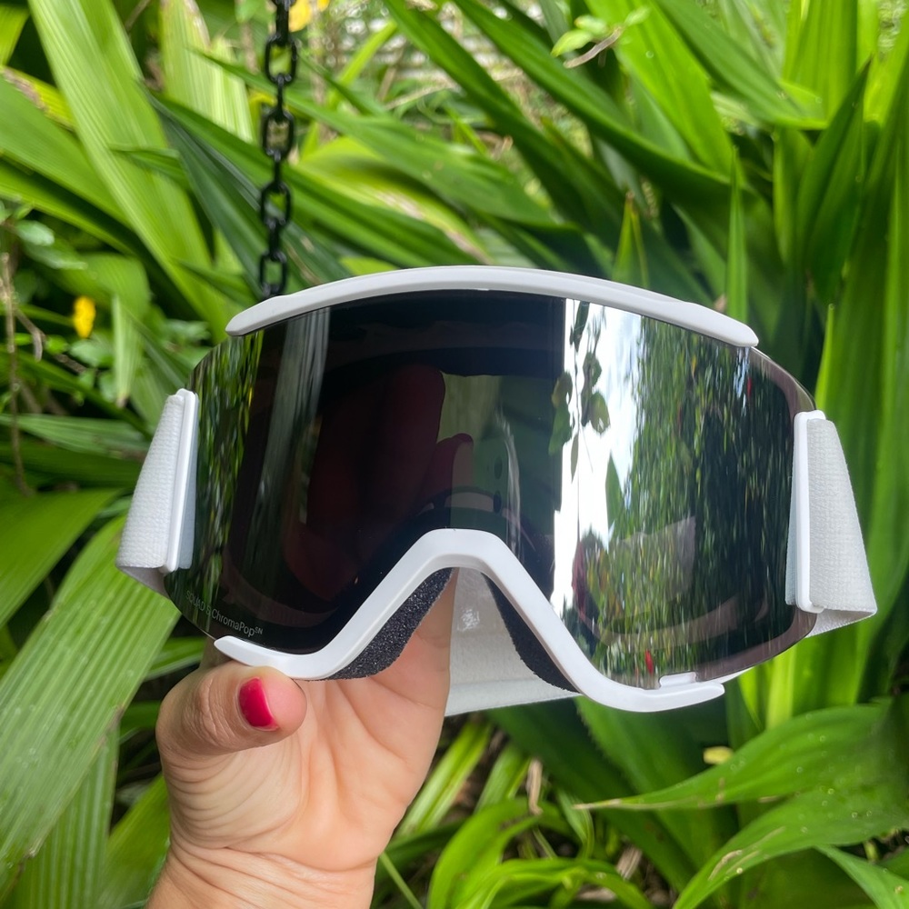 Smith Goggles